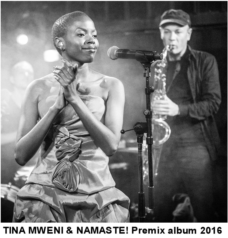 Tina Mweni & Namaste Electro Jazz Premix album cover 2016